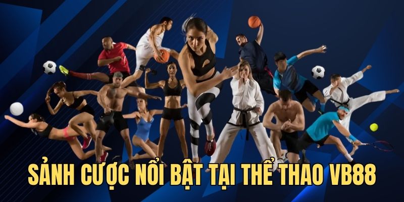 Top sảnh cược uy tín đang hợp tác cùng nhà cái